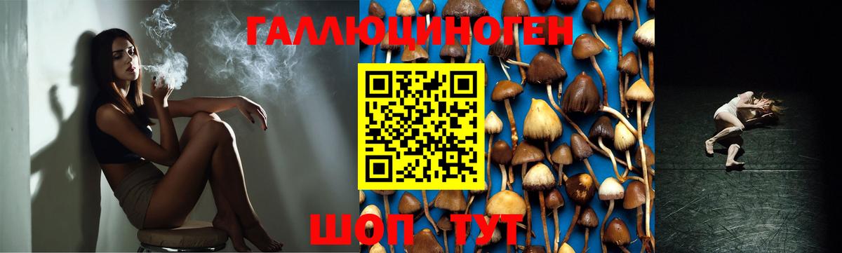 Псилоцибиновые грибы GOLDEN TEACHER Коркино